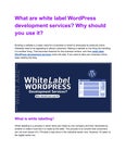Читать журнал What are white label WordPress development services? Why should you use it?