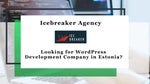 WordPress Development Company Estonia - IceBreaker Agency