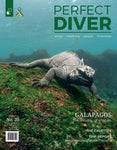 Perfect Diver Magazine issue 2(20)