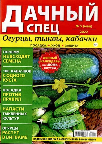 dachnyjspets_052022