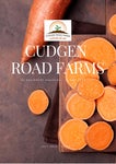 KC Equipment Magazine - Client Spotlight : Cudgen Road FarmsJULY 2022 - ISSUE 1