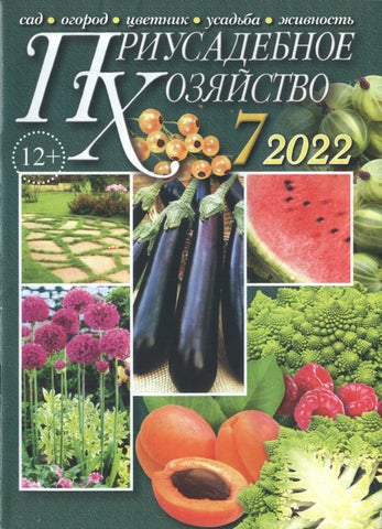 Приусадебное хозяйство №7, 2022