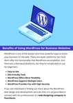 Benefits of Using WordPress for Business Websites