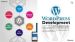 Choosing the best WordPress development agency