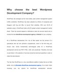 ������ ������ What are the reasons to choose a company that specializes in Wordpress development?