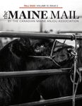The Maine Mail Magazine Fall 2022