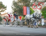 65� Magazine Fall 2022
