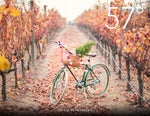 57� Magazine Fall 2022