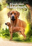 RHODESIAN RIDGEBACK EU MAGAZINE ISSUE 10/2022