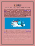 Initiate your website development project through the WordPress medium