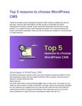 Top 5 reasons to choose WordPress CMS
