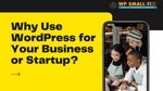 Why Use WordPress for Your Business or Startup
