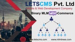 Binary MLM Plan - About Binary MLM Business Software & WooCommerce WordPress