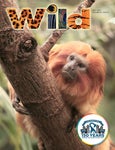 2022 Summer Wild Magazine