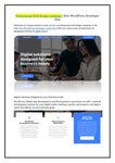 Hire WordPress developer in USA