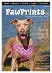 PawPrints Magazine November 2022