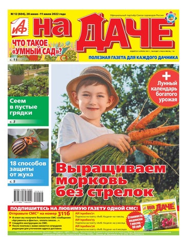 aifnadache_122022