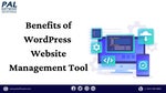 WordPress Website Management Tool
