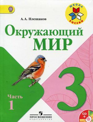 3 P1 P