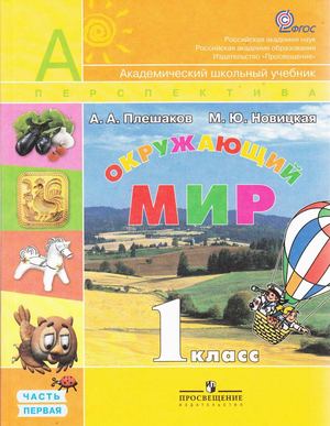 1 P1 Pn