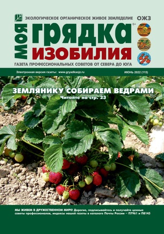 mojagradkaizobil_062022