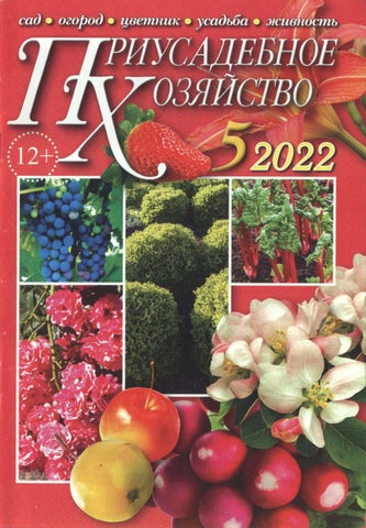 priusadhoz_052022