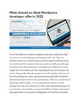 What should an ideal Wordpress developer offer in 2022
