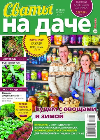 svatydach_112022