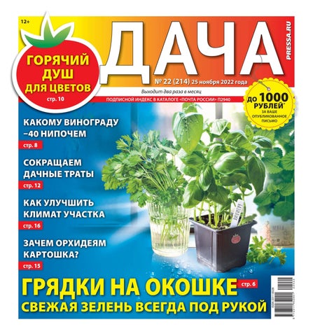 dacha_222022