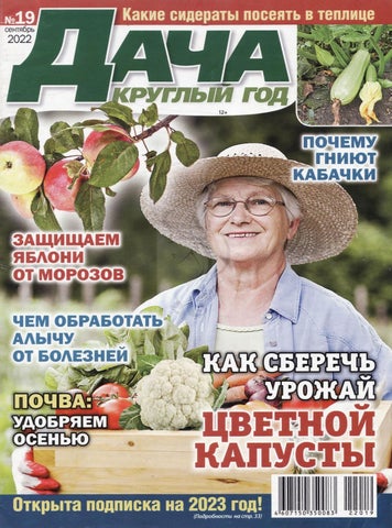 dachakruglgod_192022
