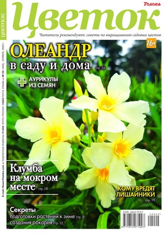 tsvetok_222022