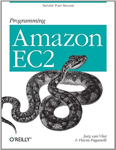 Programming Amazon EC2 by Jurg van Vliet and Flavia Paganelli